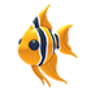 Angelfish