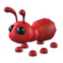 Ant