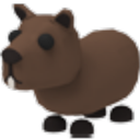 Capybara