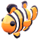 Clownfish