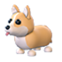 Corgi