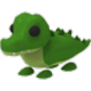 Crocodile