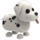 Dalmatian