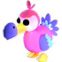 Dodo