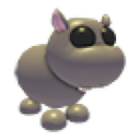 Hippo