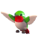 Hummingbird