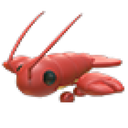 Lobster