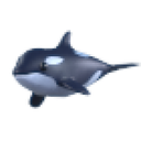 Orca