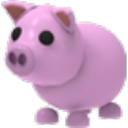 Pig