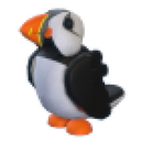 Puffin