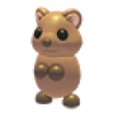 Quokka