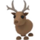 Reindeer