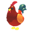 Rooster