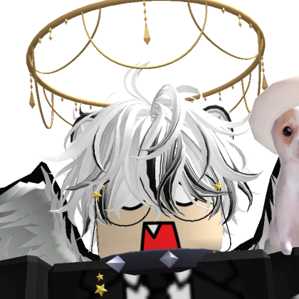 Owner of Listing Roblox Image